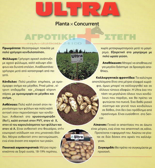 patatosporos-ultra