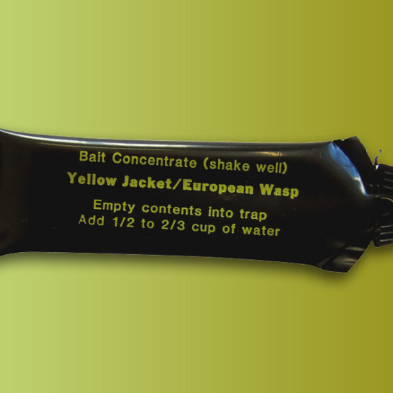 Σφηκοδολώματα