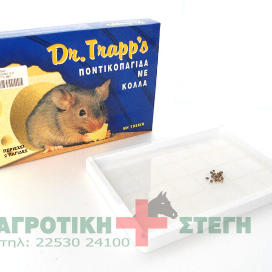 Ποντικοπαγίδα με κόλλα Dr Trapps - Μεγάλη