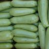 ΚΟΛΟΚΥΘΙ ARMONIA F1 - CUCURBITA SP.
