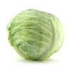 ΛΑΧΑΝΟ ELITE F1 - Brassica oleracea var. capitata