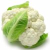 ΚΟΥΝΟΥΠΙΔΙ SNOW PRIDE F1 - Brassica oleracea var. botrytis