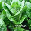 ΜΑΡΟΥΛΙ ZEPHYROS F1 - κυτίο 5000 pills