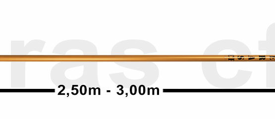Ελαιοραβδιστικό ΑΓΓΕΛΗΣ Asteras CF 4x4