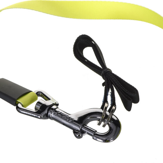 Flexi Πτυσσόμενο Λουρί/Οδηγός Σκύλου 8m έως 50kg