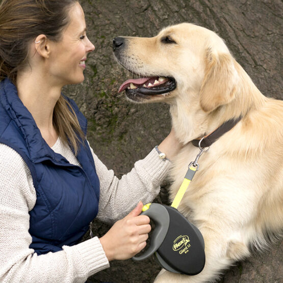 Flexi Πτυσσόμενο Λουρί/Οδηγός Σκύλου 8m έως 50kg