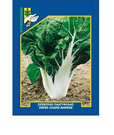 Σέσκουλο Πλατύφυλλο - φακελάκι