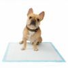 Εκπαιδευτικές Πάνες “Puppy Pads” 60x90cm