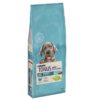 Purina Tonus Dog Chow Puppy Large Ξηρά Τροφή για Κουτάβια Μεγαλόσωμων Φυλών με Γαλοπούλα 14kg