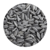 Ηλιόσπορος ψιλός 1Kg