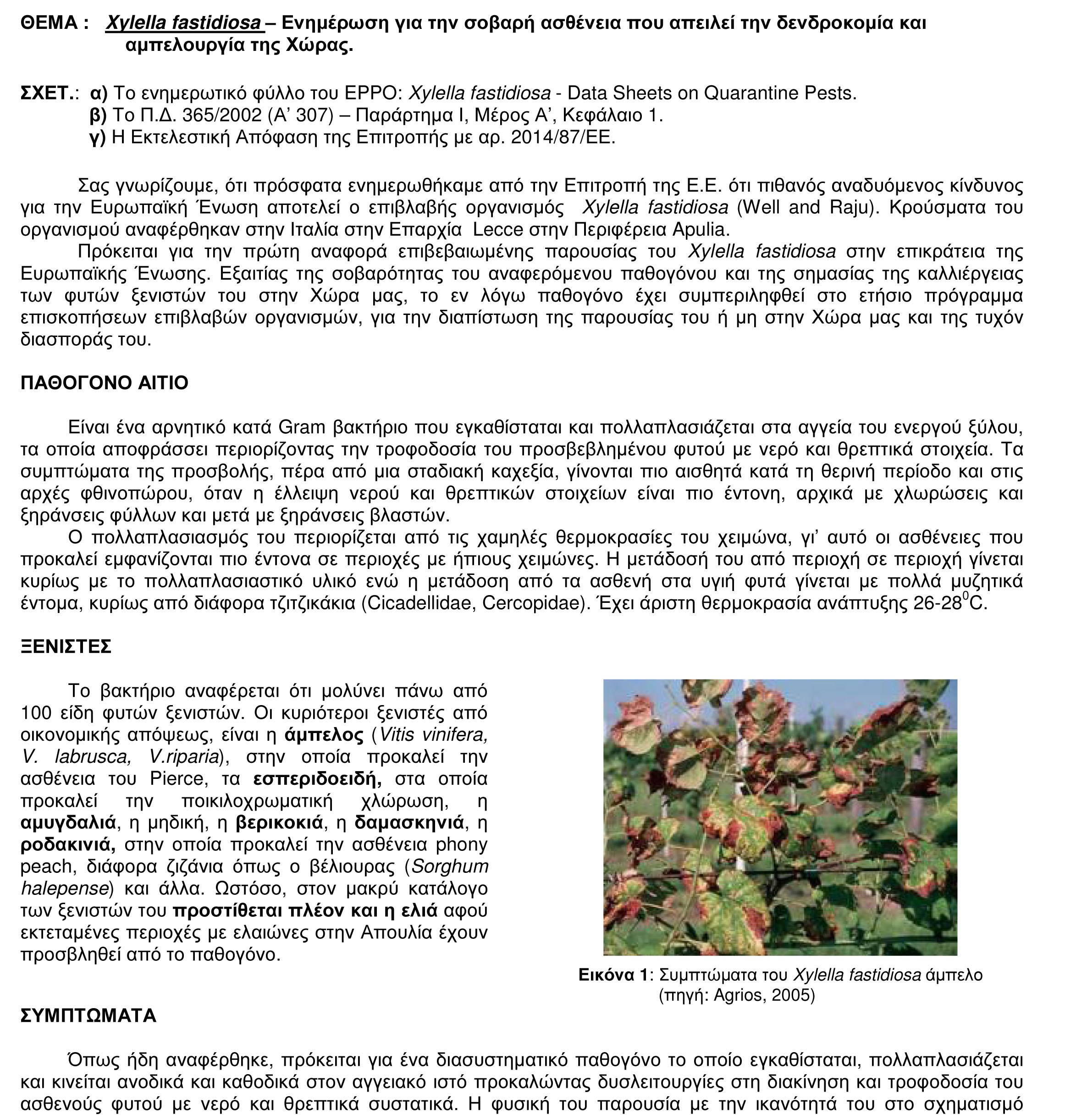 xylella-1